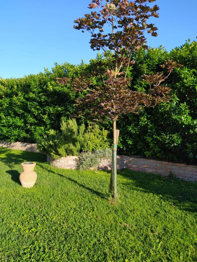 Soggiorno In Relax Correggioverde Exterior foto